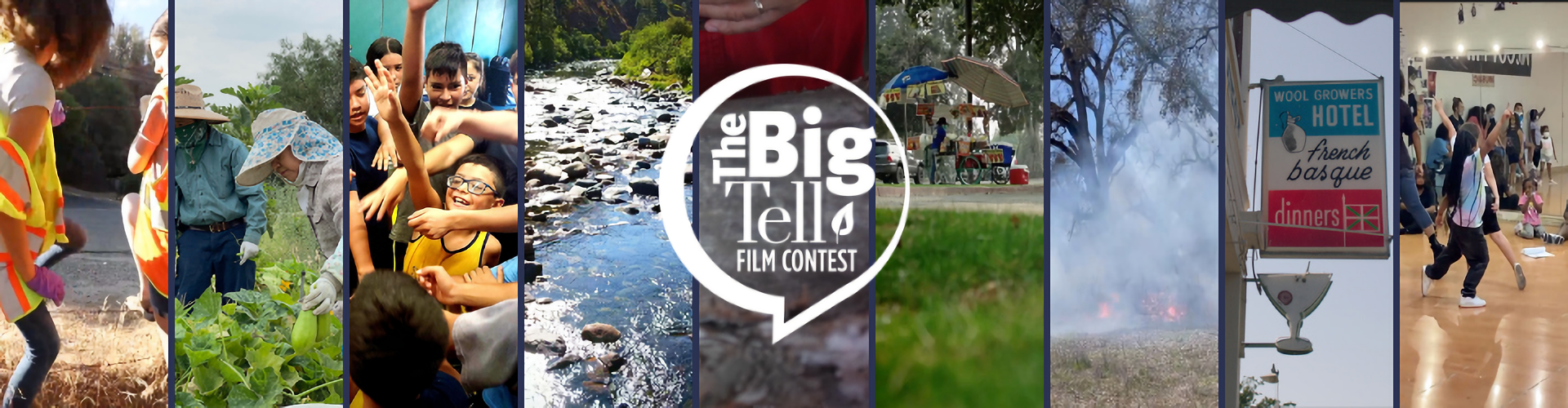 The Big Tell - Film Contest picture